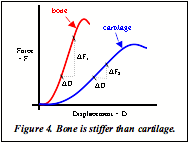 Fig4 biomechl language 091005